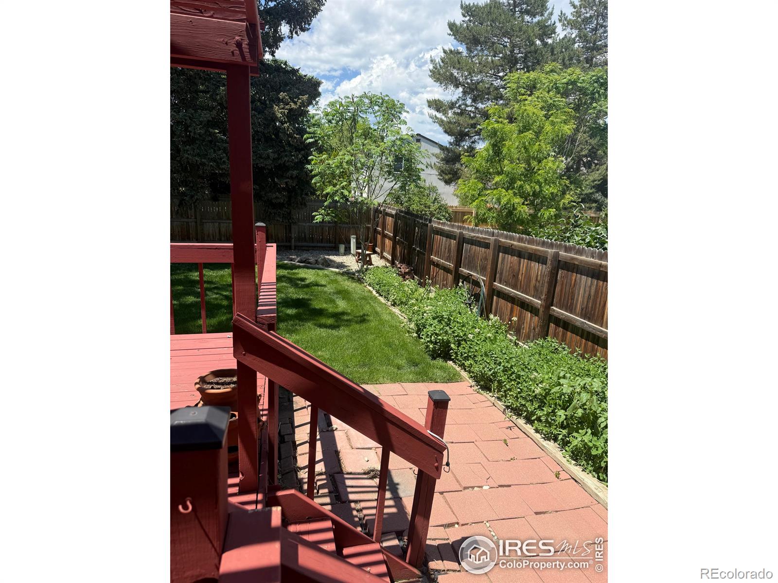 MLS Image #12 for 2449  linden street,longmont, Colorado