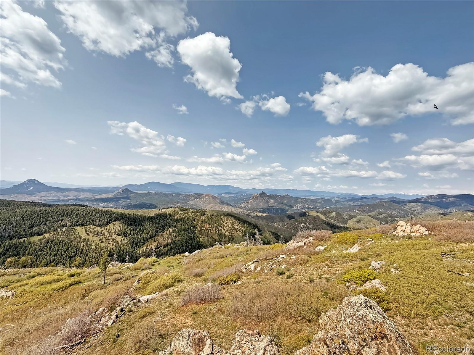 MLS Image #35 for 14440  eagle vista drive,littleton, Colorado