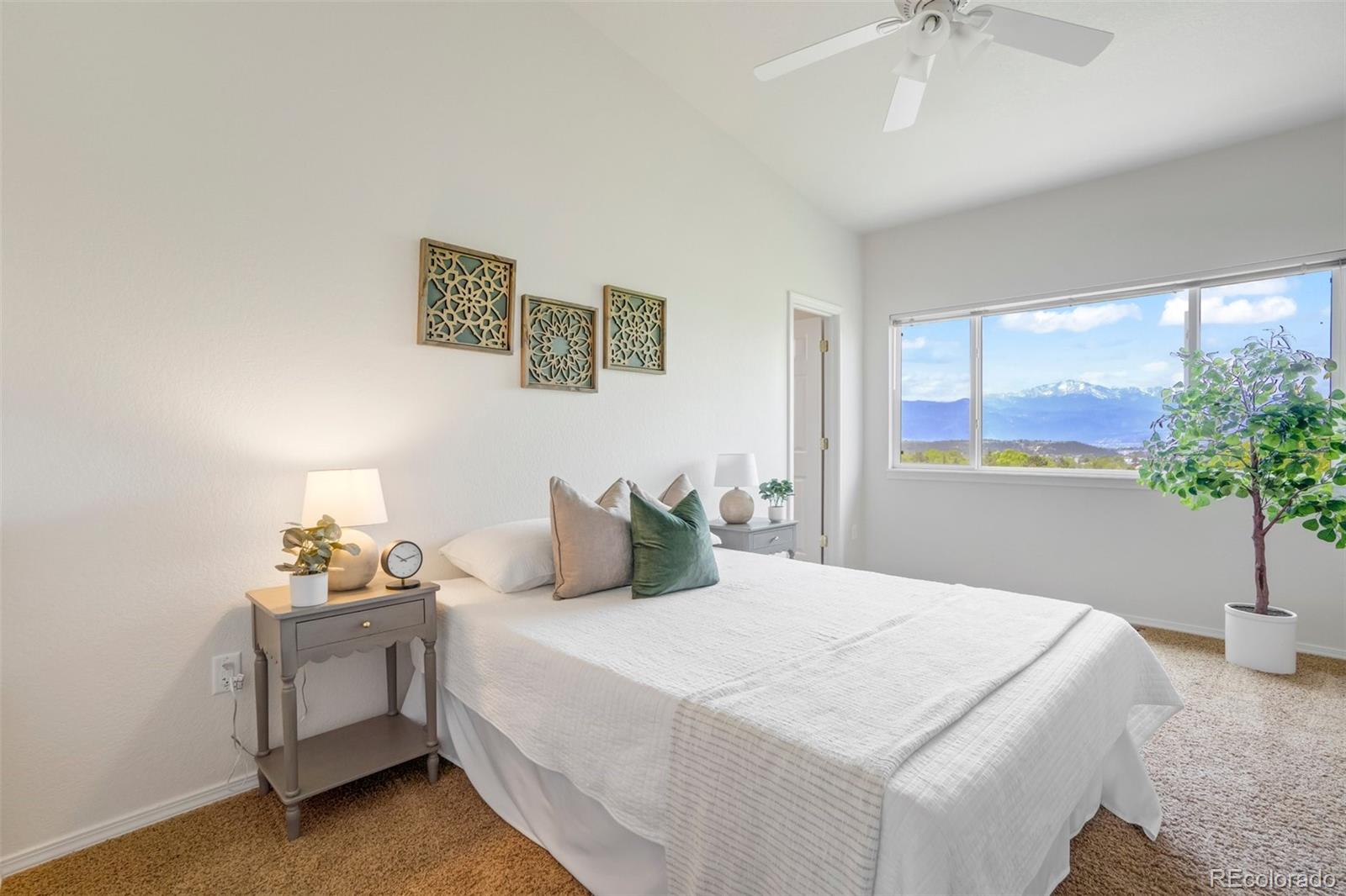 MLS Image #12 for 4323  sammers view,colorado springs, Colorado