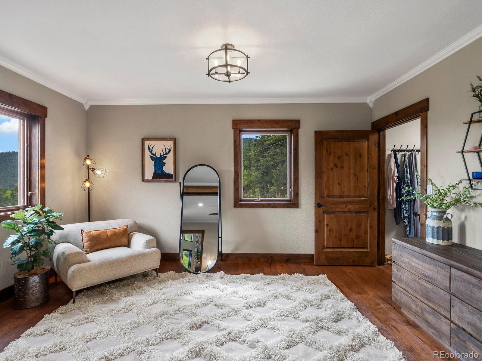 MLS Image #15 for 1194  snyder mountain road,evergreen, Colorado