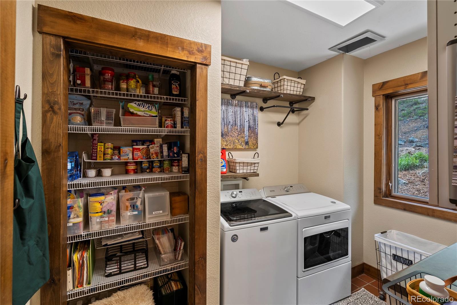 MLS Image #19 for 1194  snyder mountain road,evergreen, Colorado