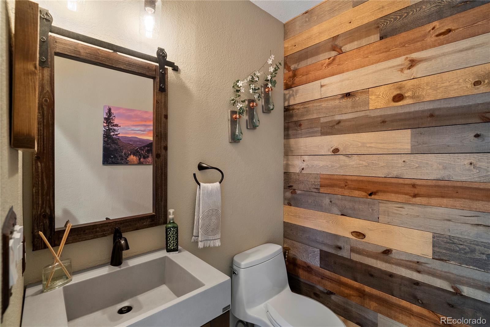 MLS Image #20 for 1194  snyder mountain road,evergreen, Colorado