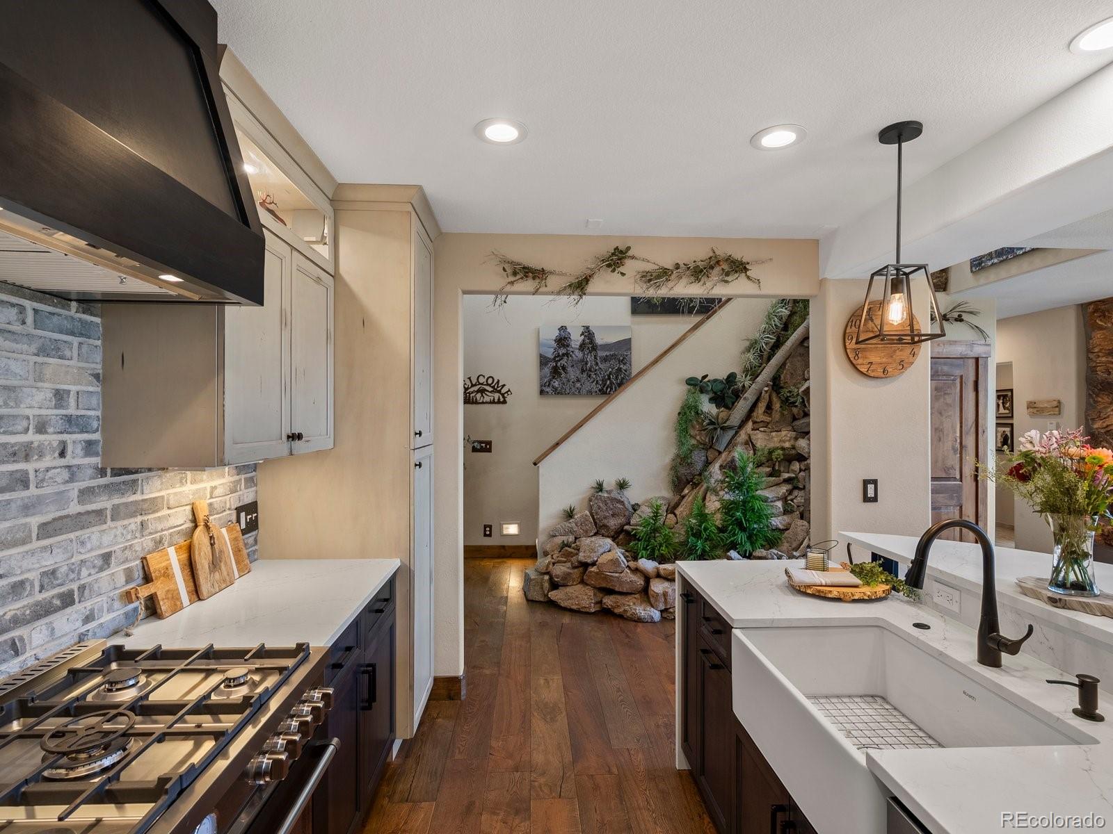 MLS Image #6 for 1194  snyder mountain road,evergreen, Colorado