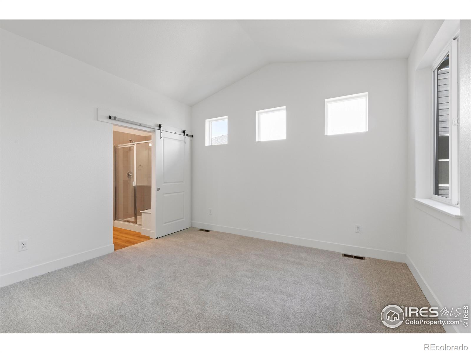 MLS Image #15 for 5063  mckinnon court,timnath, Colorado