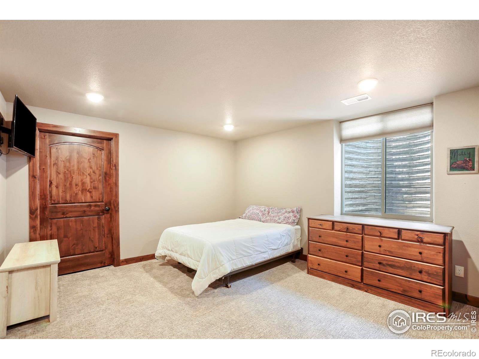 MLS Image #13 for 3709  peruvian torch drive,loveland, Colorado