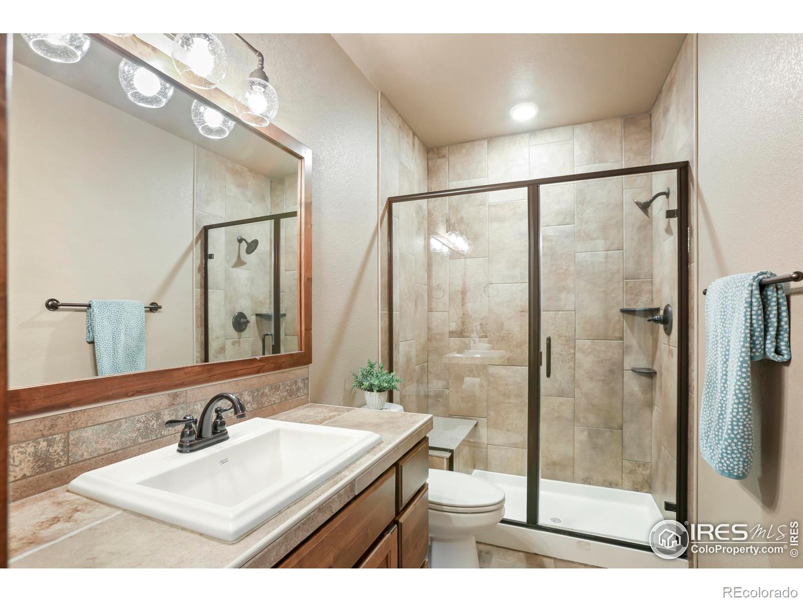 MLS Image #17 for 3709  peruvian torch drive,loveland, Colorado