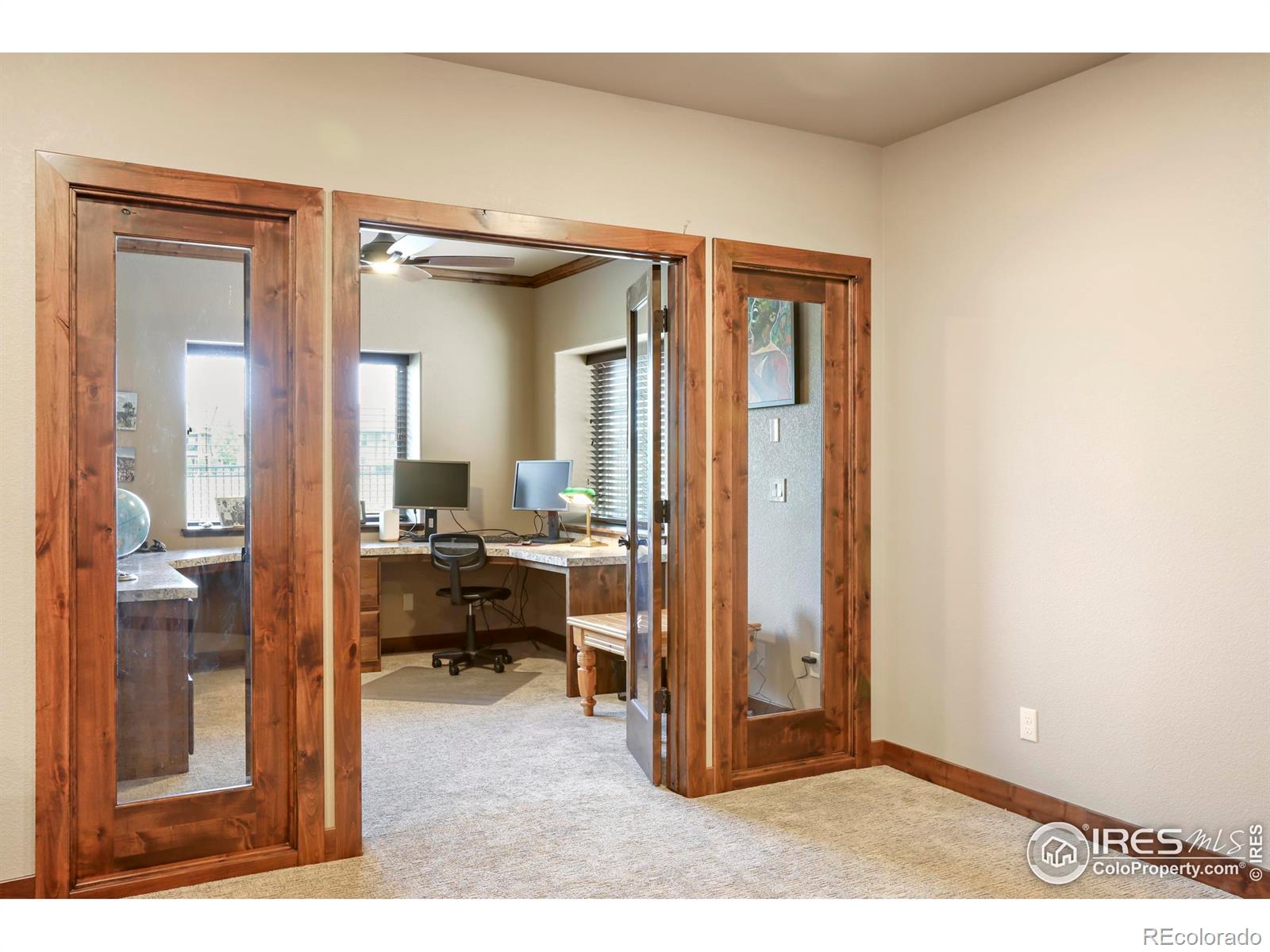 MLS Image #18 for 3709  peruvian torch drive,loveland, Colorado
