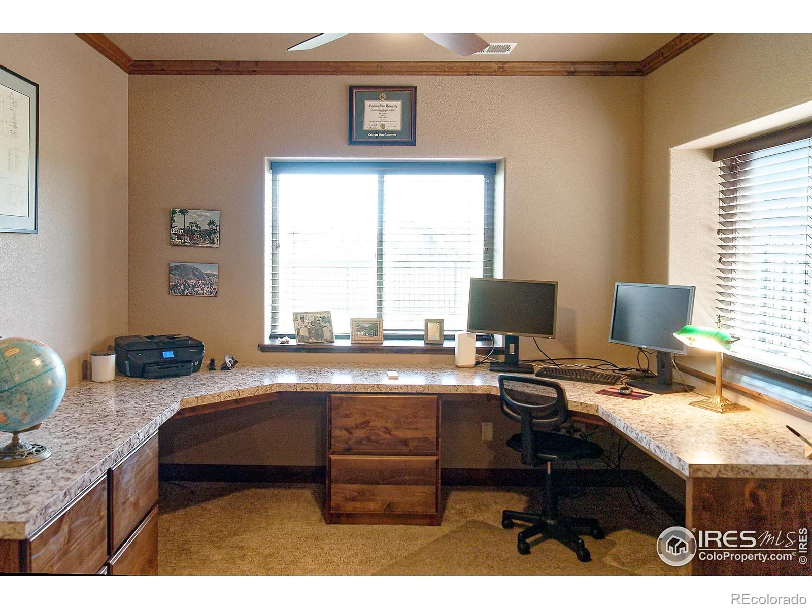 MLS Image #19 for 3709  peruvian torch drive,loveland, Colorado