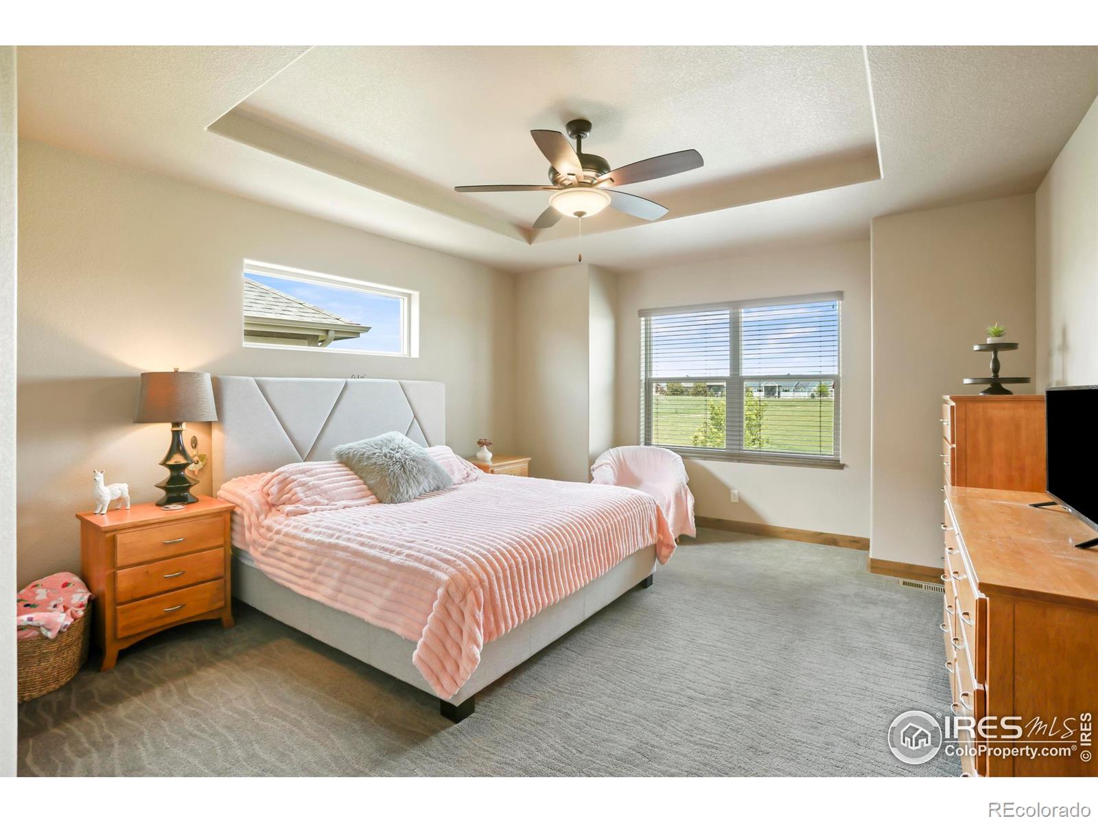 MLS Image #6 for 3709  peruvian torch drive,loveland, Colorado