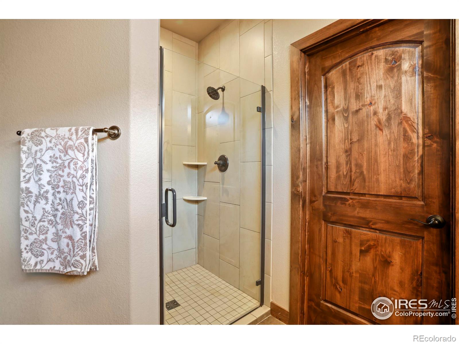MLS Image #9 for 3709  peruvian torch drive,loveland, Colorado