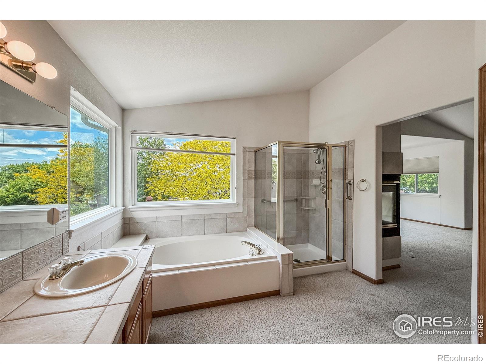 MLS Image #26 for 678  mcclure court,erie, Colorado