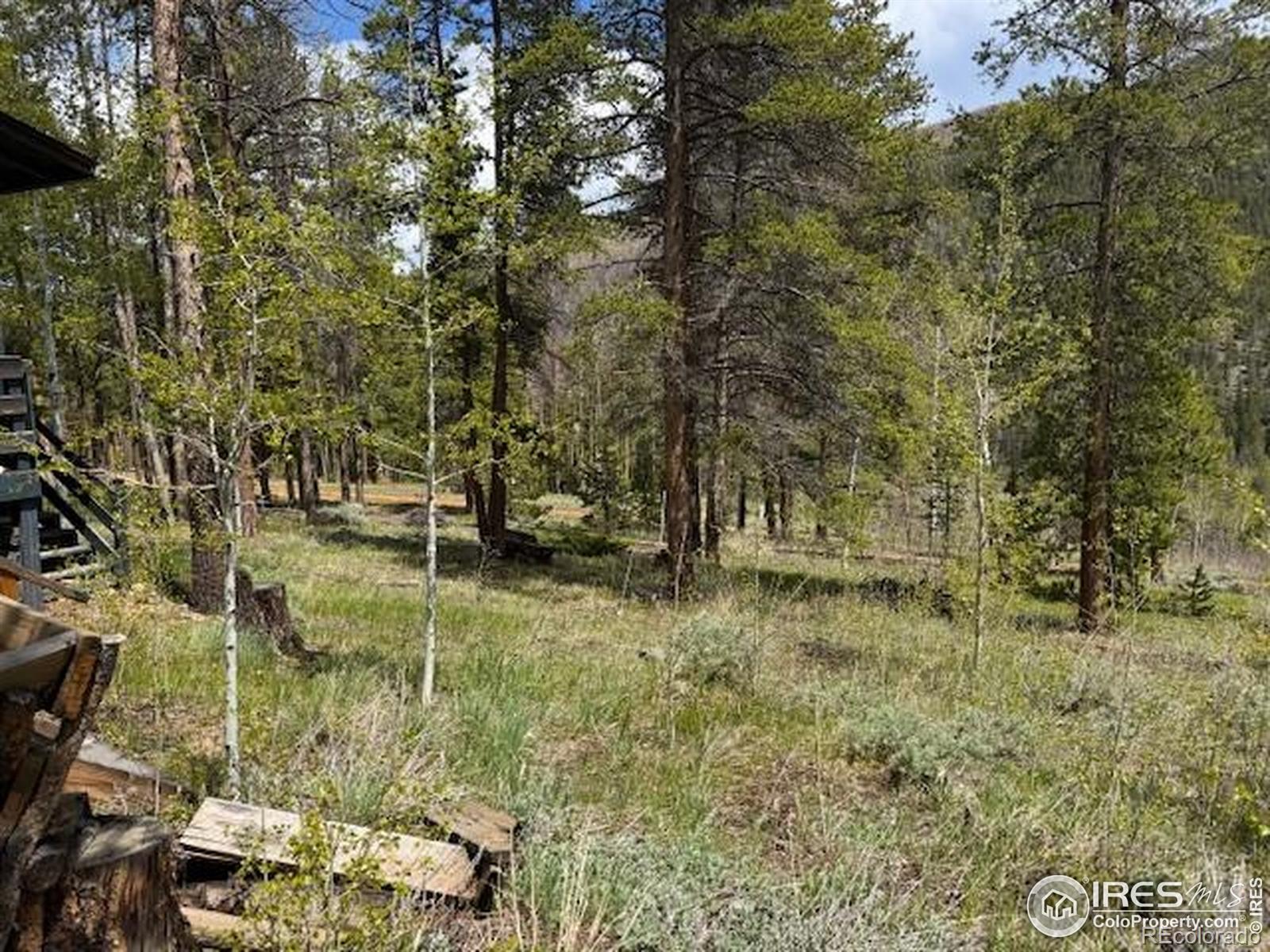 MLS Image #15 for 13348  pingree park road,bellvue, Colorado
