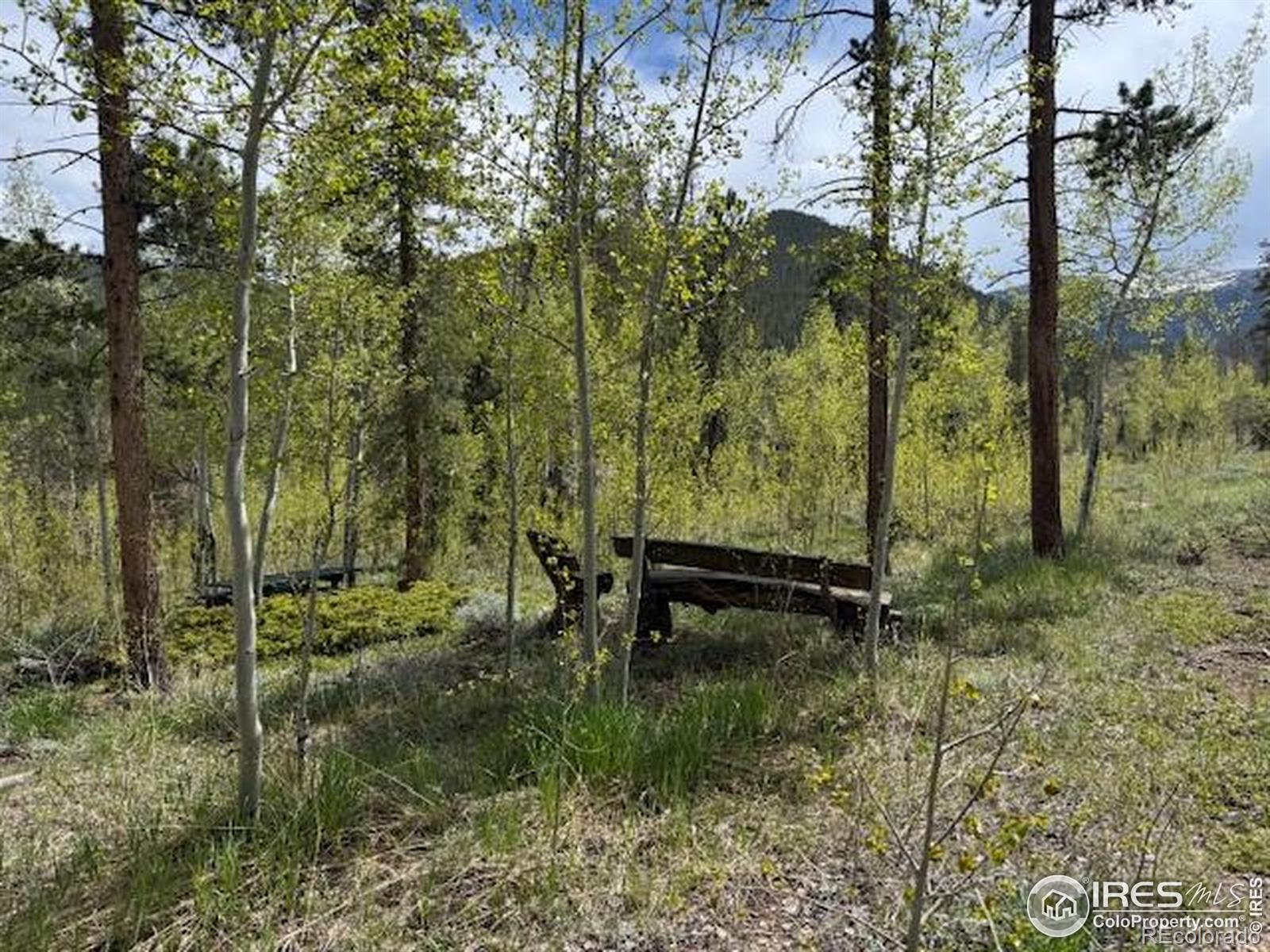 MLS Image #16 for 13348  pingree park road,bellvue, Colorado