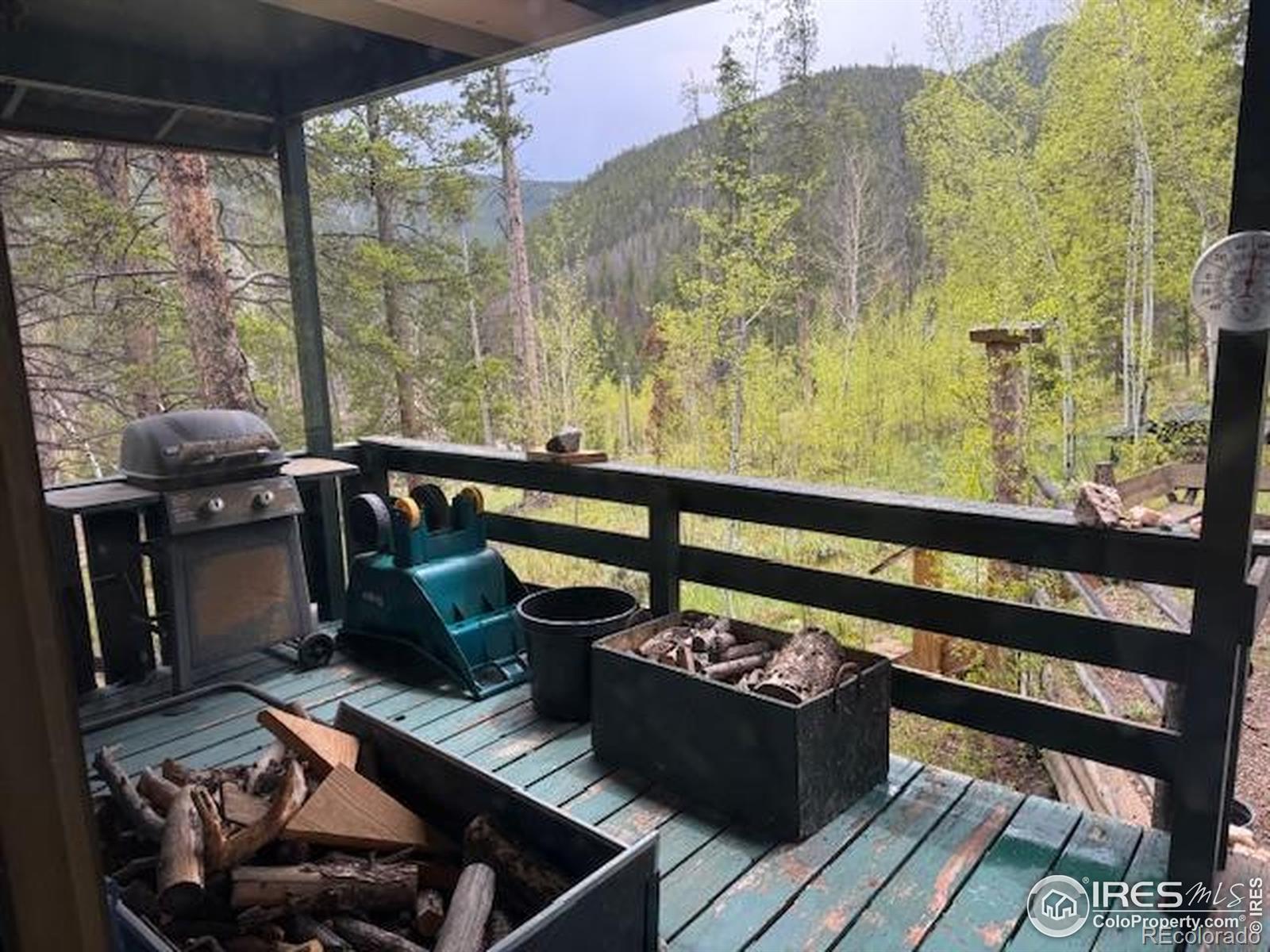 MLS Image #2 for 13348  pingree park road,bellvue, Colorado