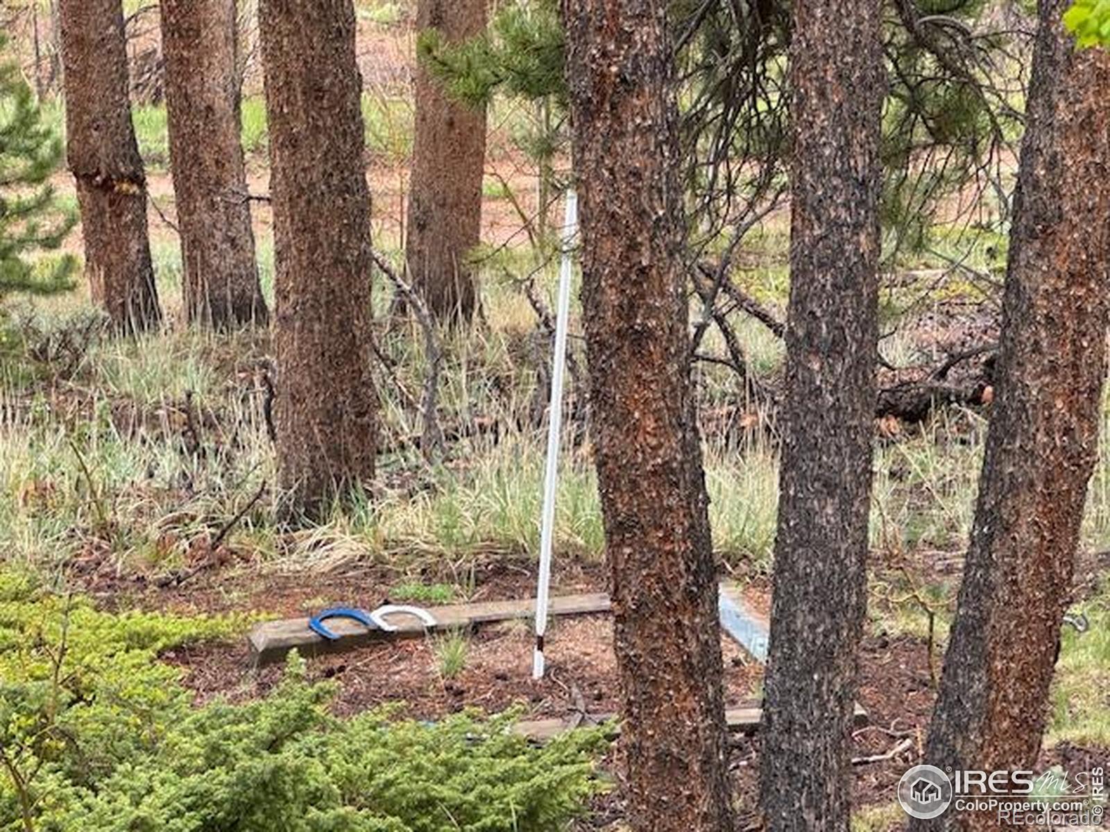 MLS Image #23 for 13348  pingree park road,bellvue, Colorado
