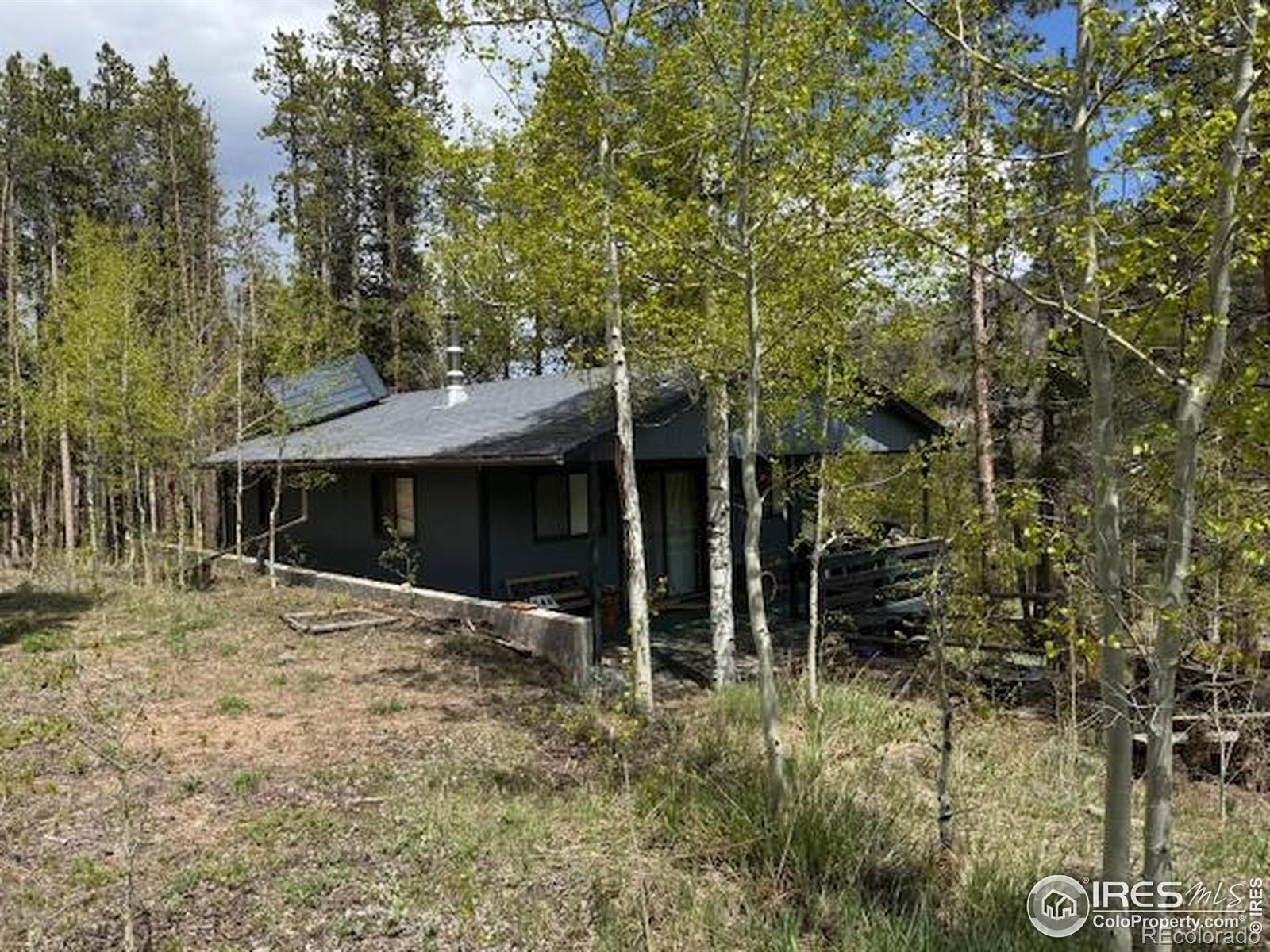 MLS Image #24 for 13348  pingree park road,bellvue, Colorado