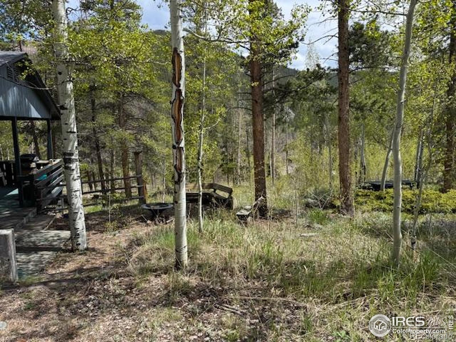 MLS Image #3 for 13348  pingree park road,bellvue, Colorado