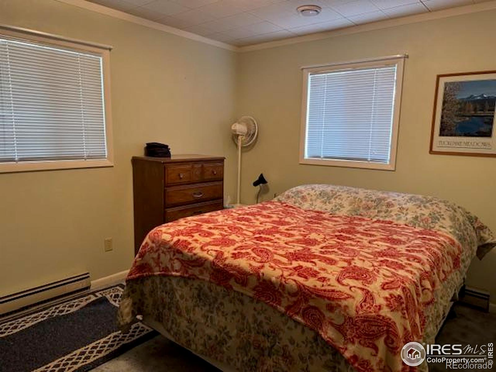 MLS Image #9 for 13348  pingree park road,bellvue, Colorado