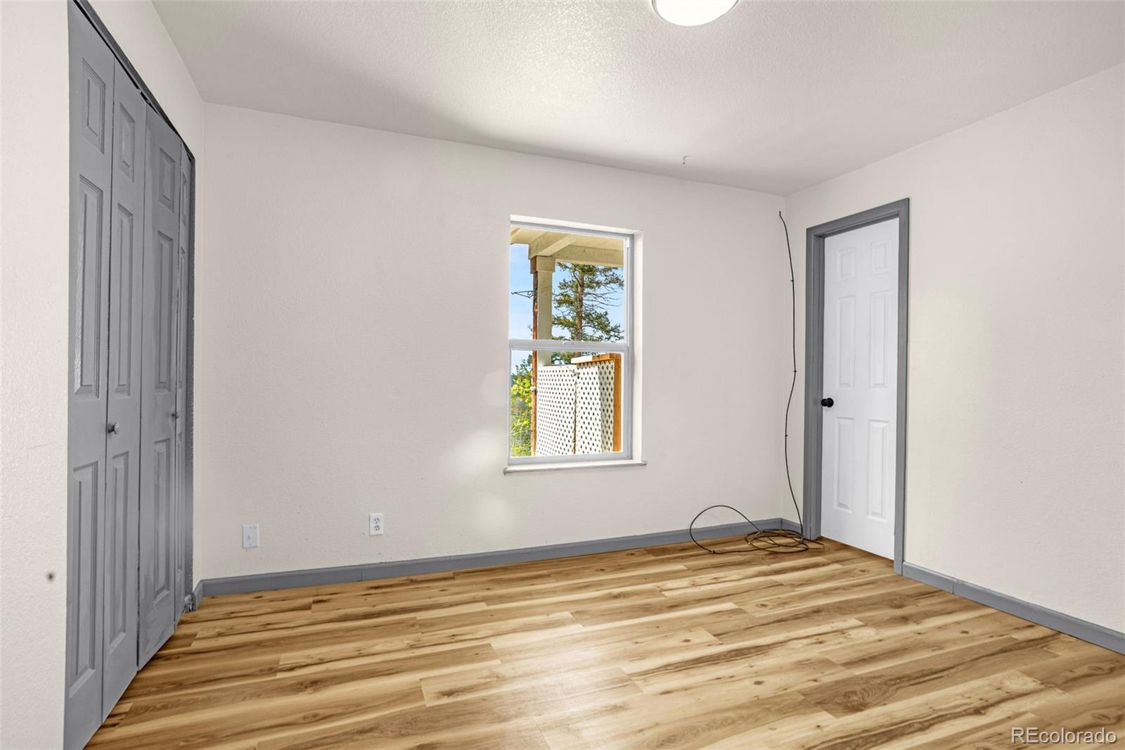 MLS Image #13 for 86  will stutley drive,divide, Colorado