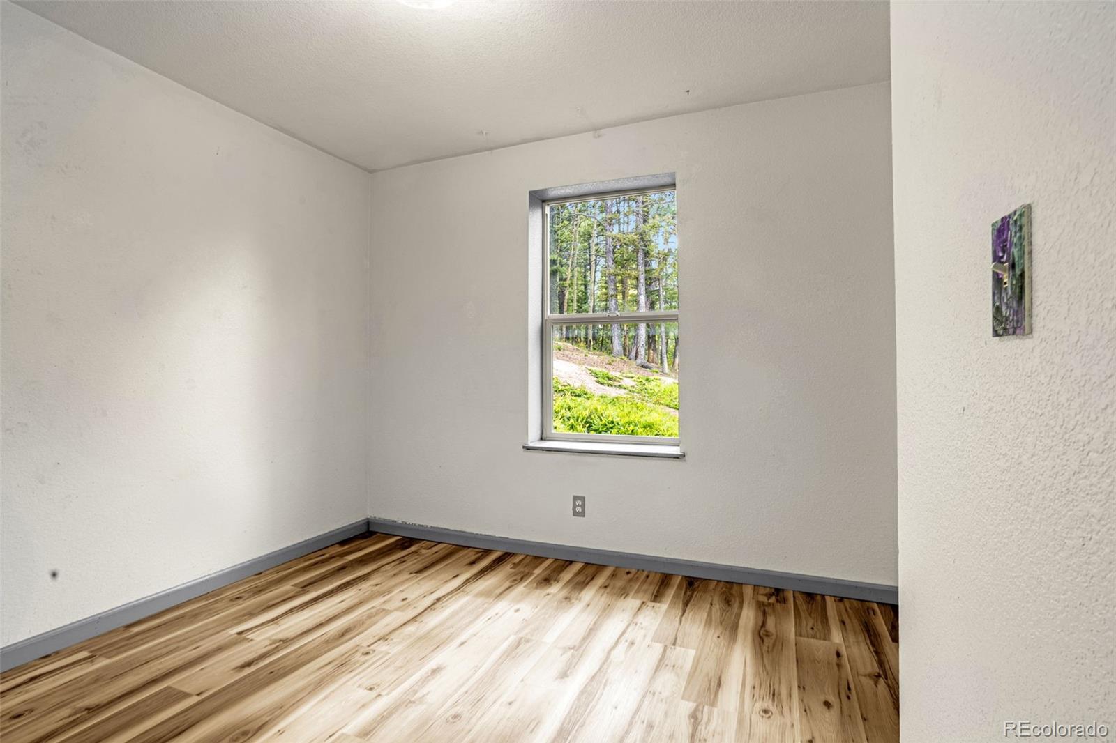 MLS Image #17 for 86  will stutley drive,divide, Colorado