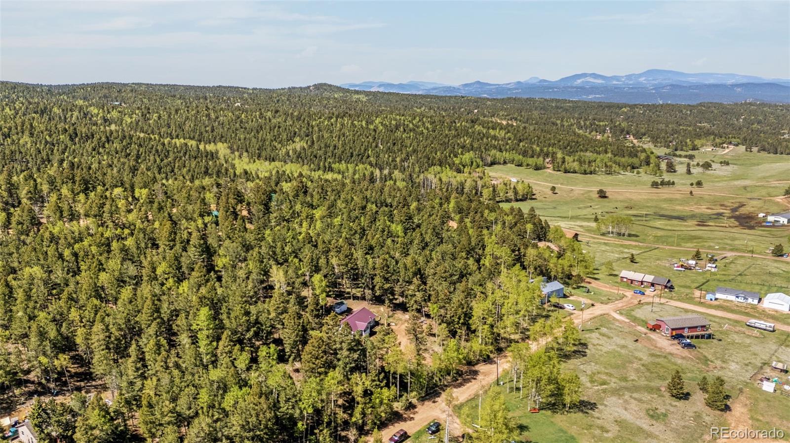 MLS Image #26 for 86  will stutley drive,divide, Colorado