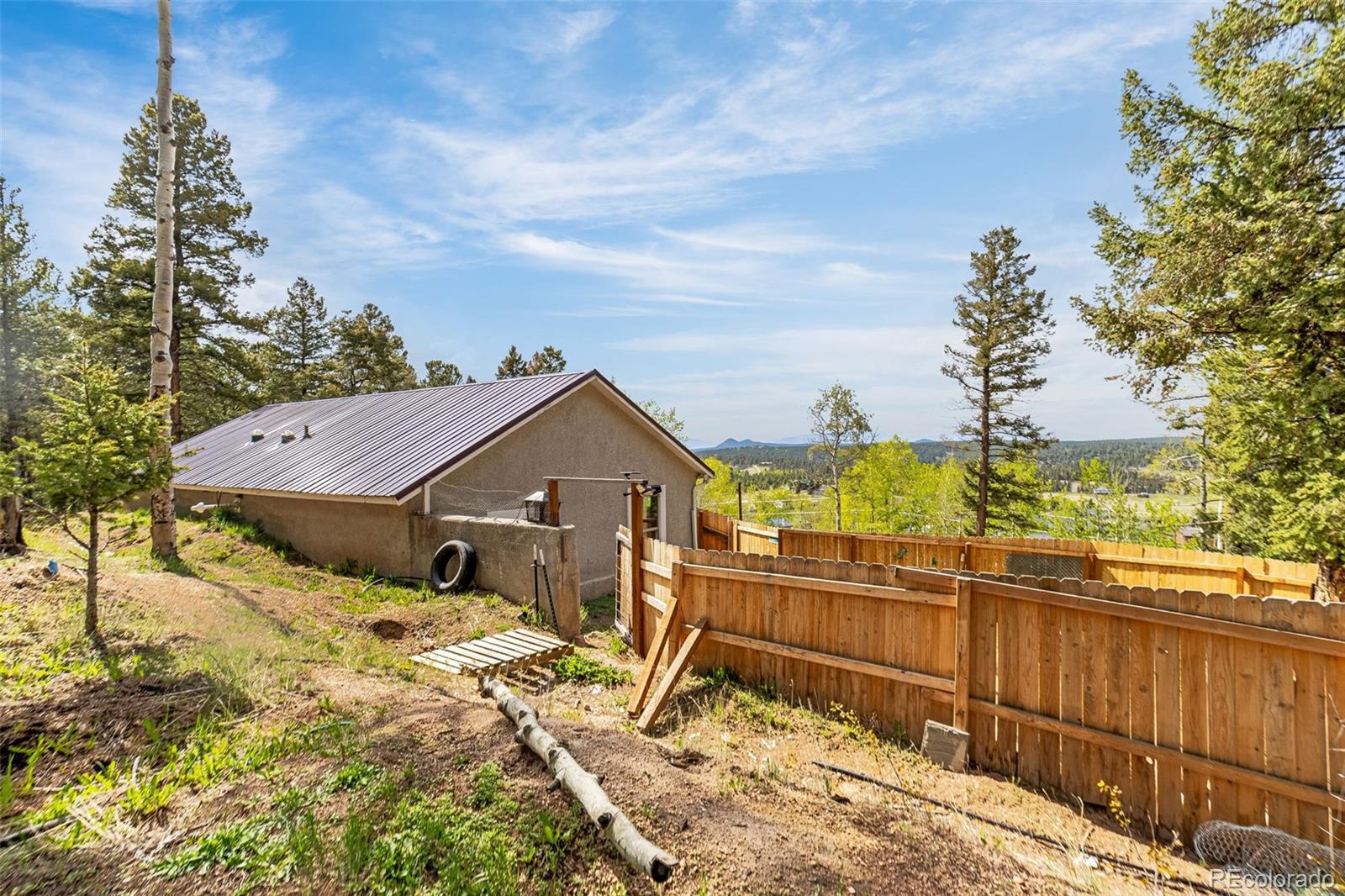 MLS Image #5 for 86  will stutley drive,divide, Colorado