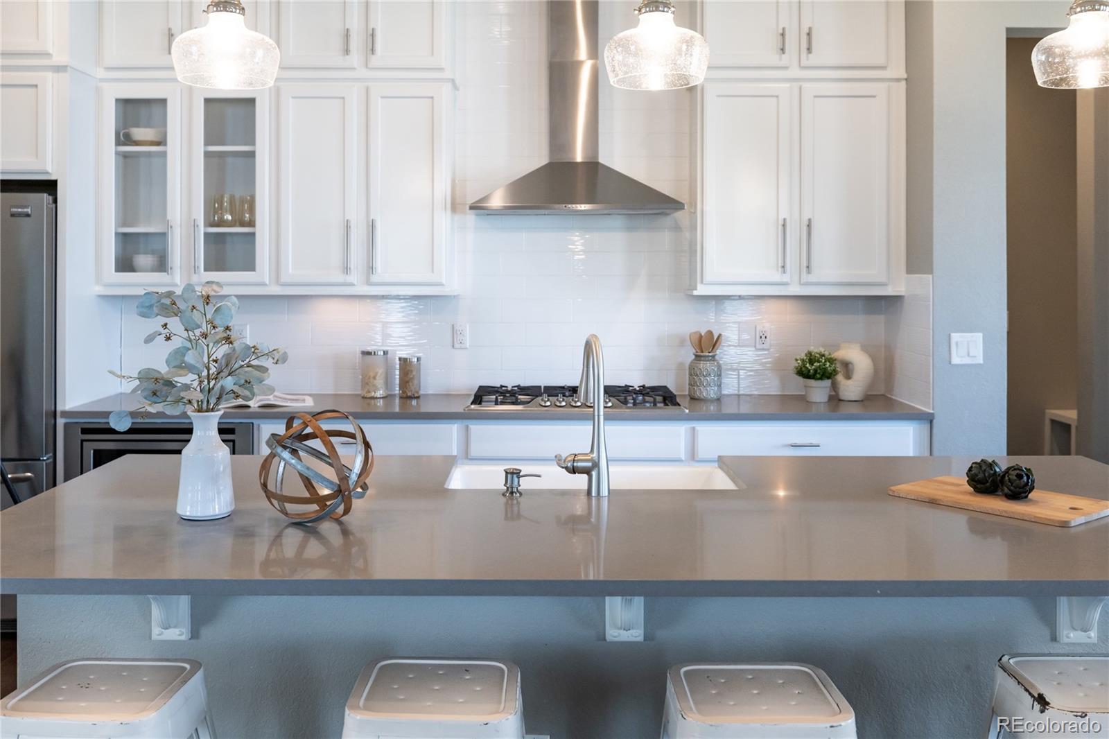 MLS Image #14 for 578  sage grouse circle,castle rock, Colorado