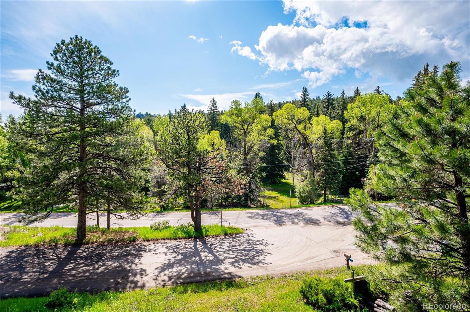 MLS Image #3 for 7284  willa lane,evergreen, Colorado