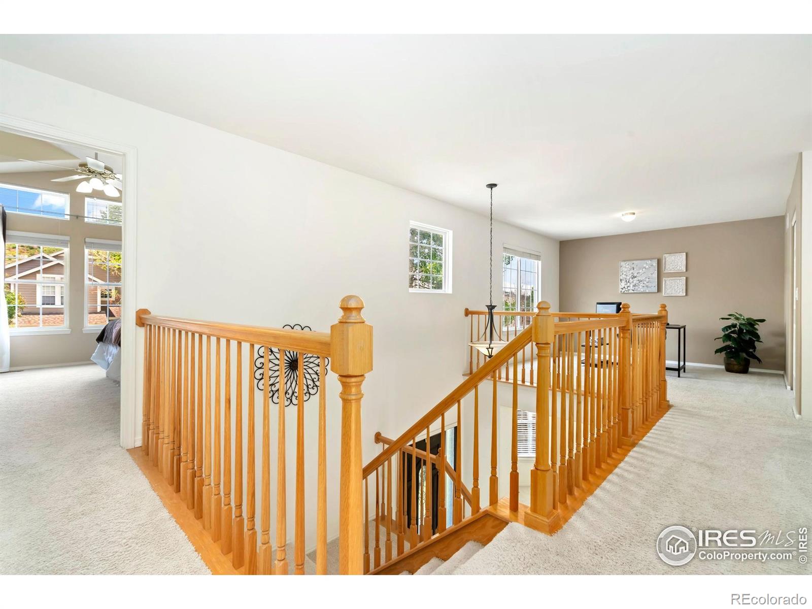 MLS Image #14 for 442  promontory drive,loveland, Colorado