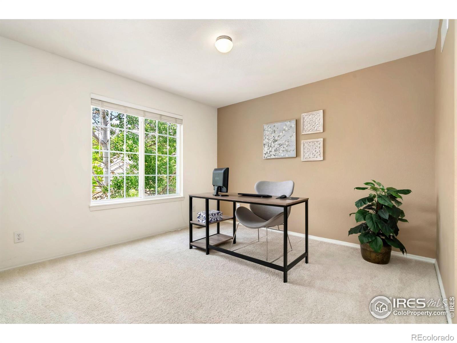 MLS Image #15 for 442  promontory drive,loveland, Colorado