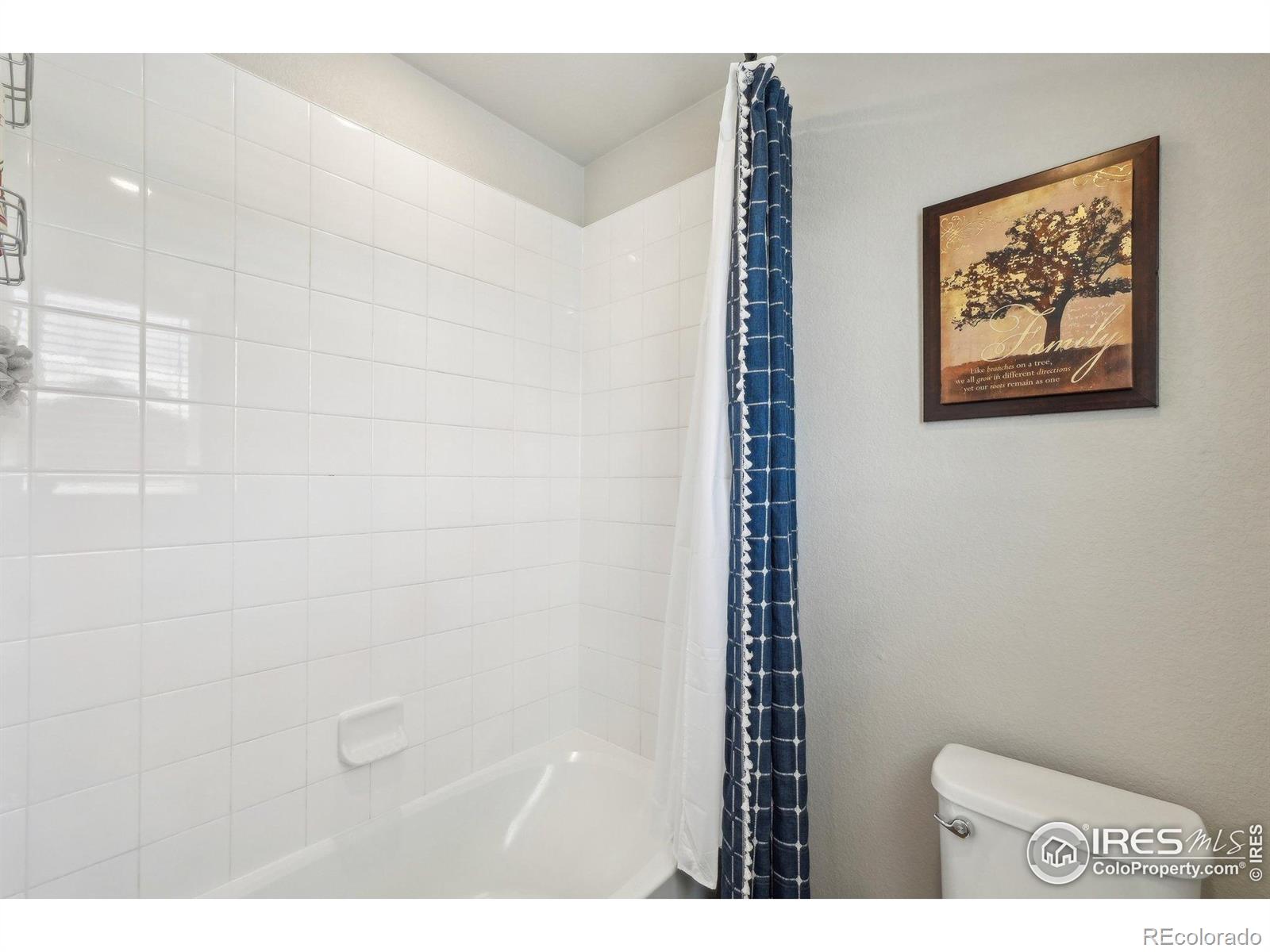 MLS Image #21 for 2509  alto street,fort lupton, Colorado