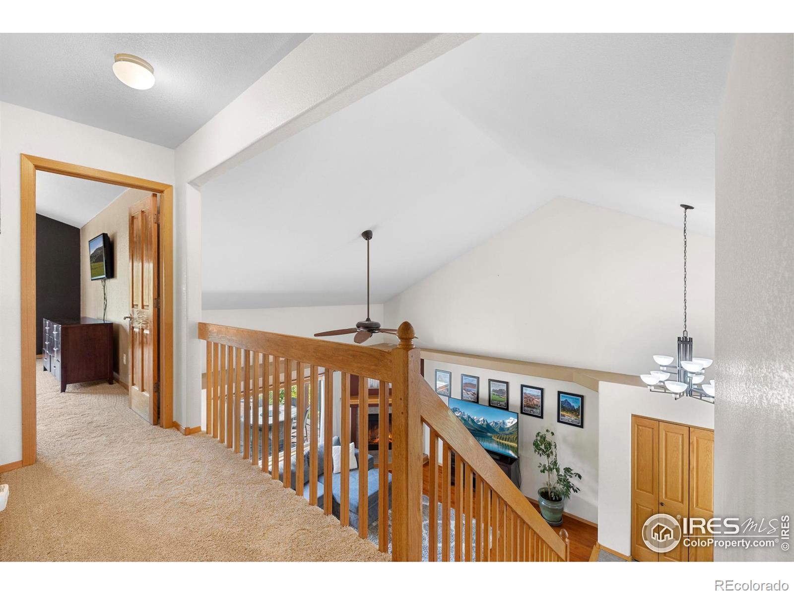 MLS Image #12 for 1502  westfield drive,fort collins, Colorado