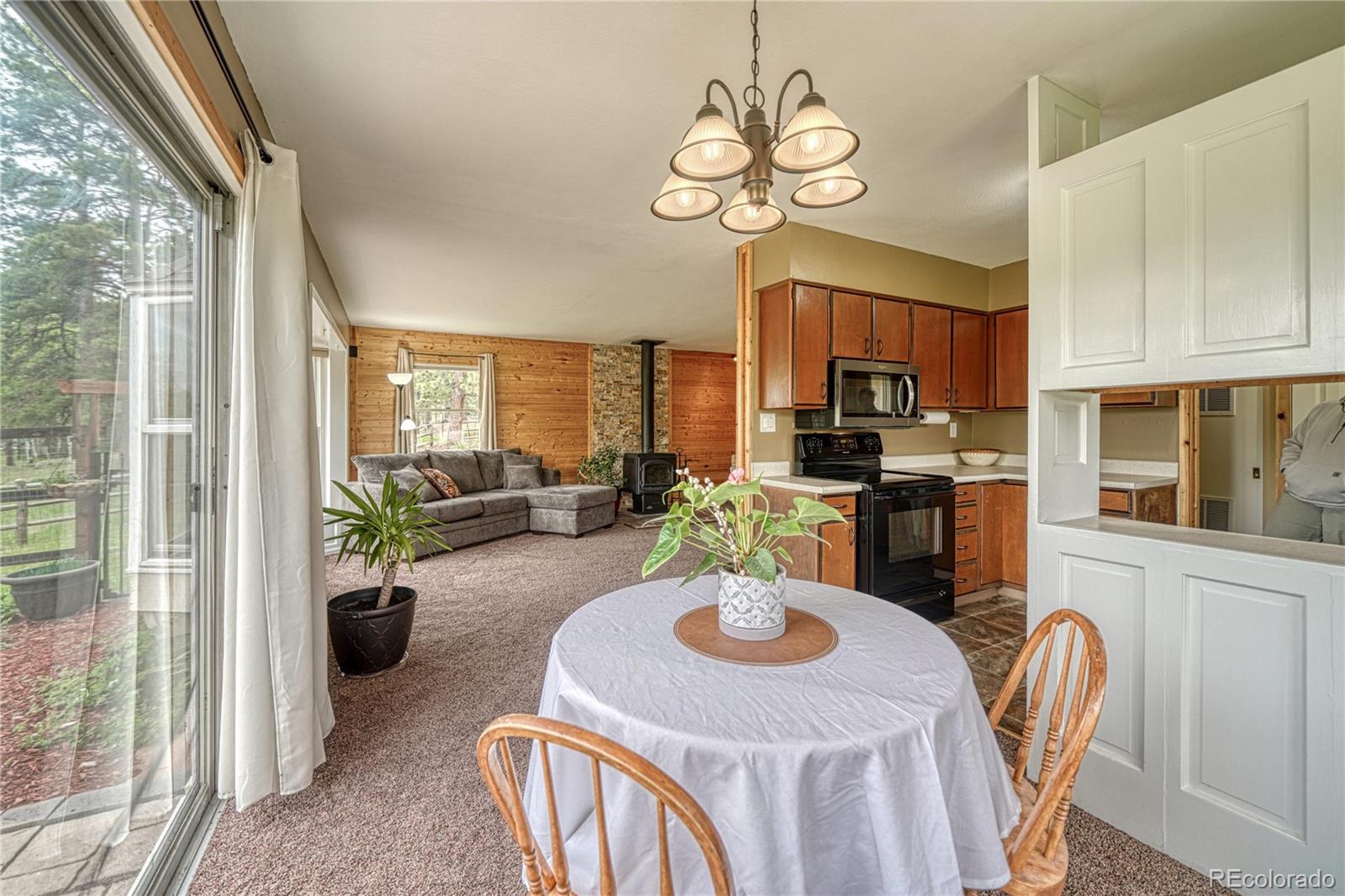 MLS Image #12 for 1451  black foot trail,woodland park, Colorado