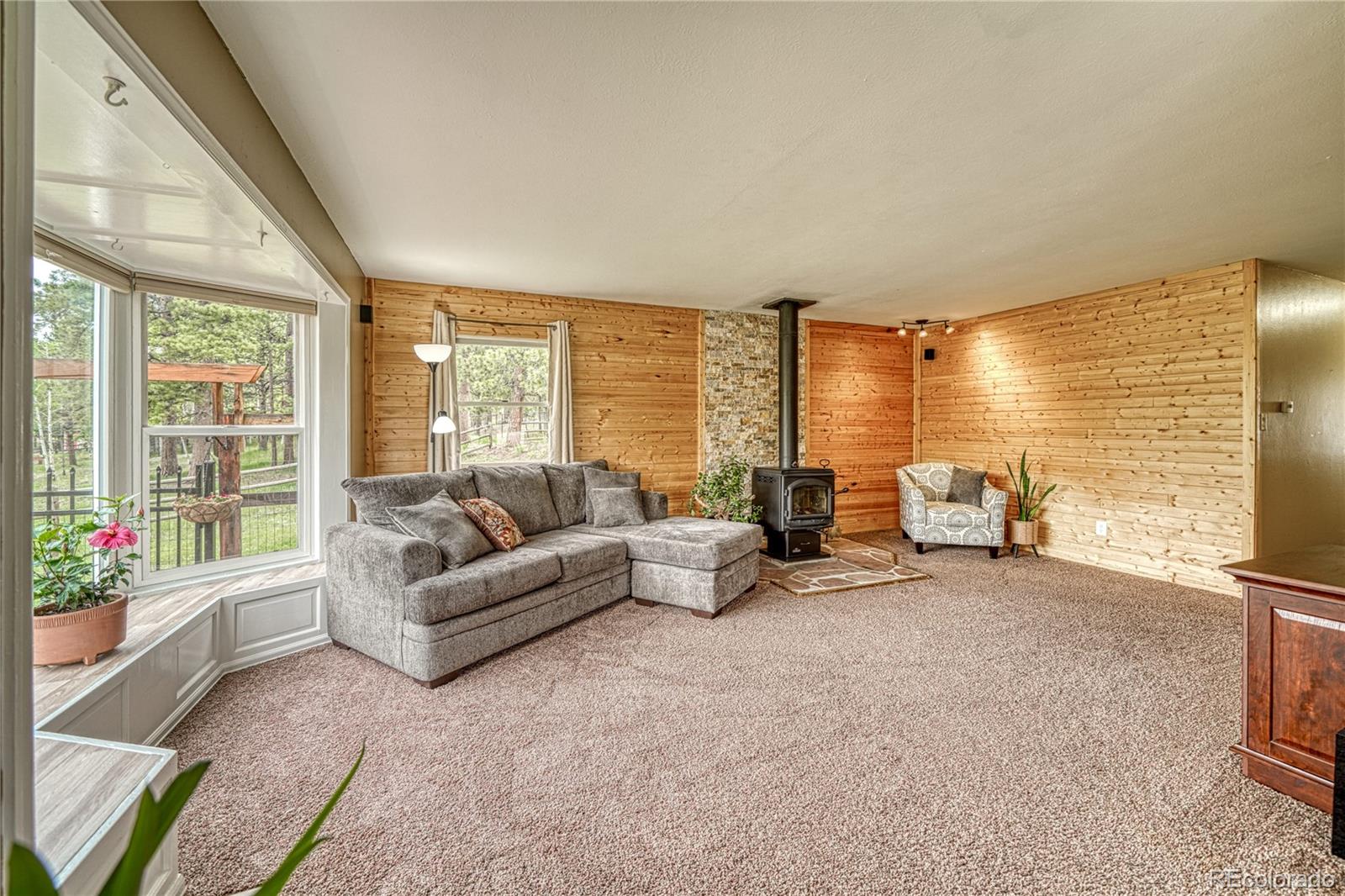 MLS Image #13 for 1451  black foot trail,woodland park, Colorado