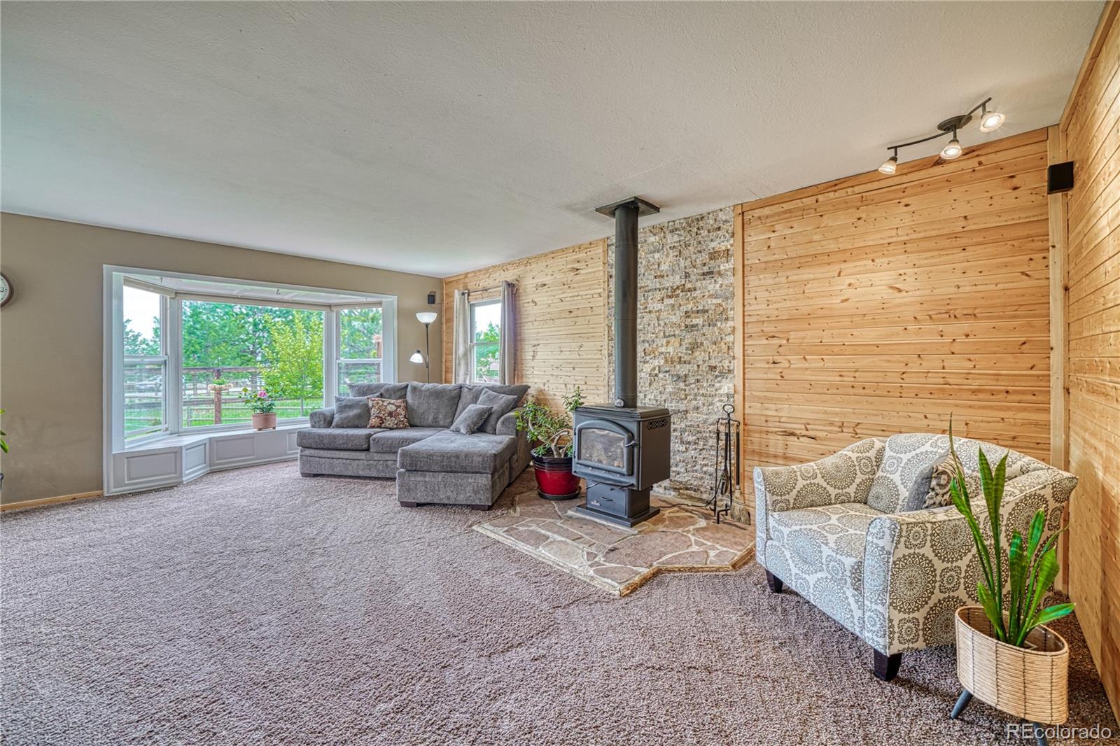 MLS Image #14 for 1451  black foot trail,woodland park, Colorado