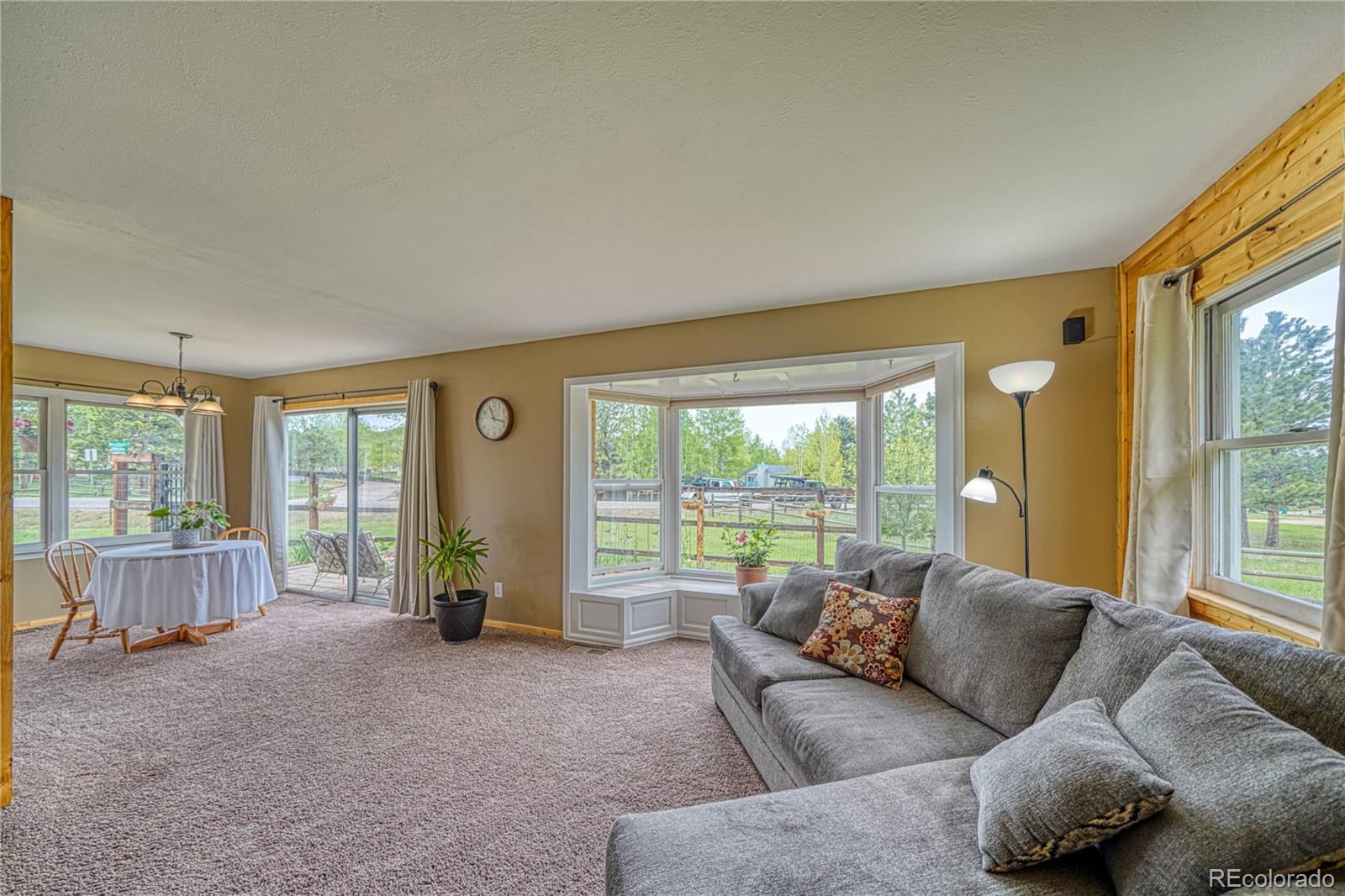 MLS Image #16 for 1451  black foot trail,woodland park, Colorado
