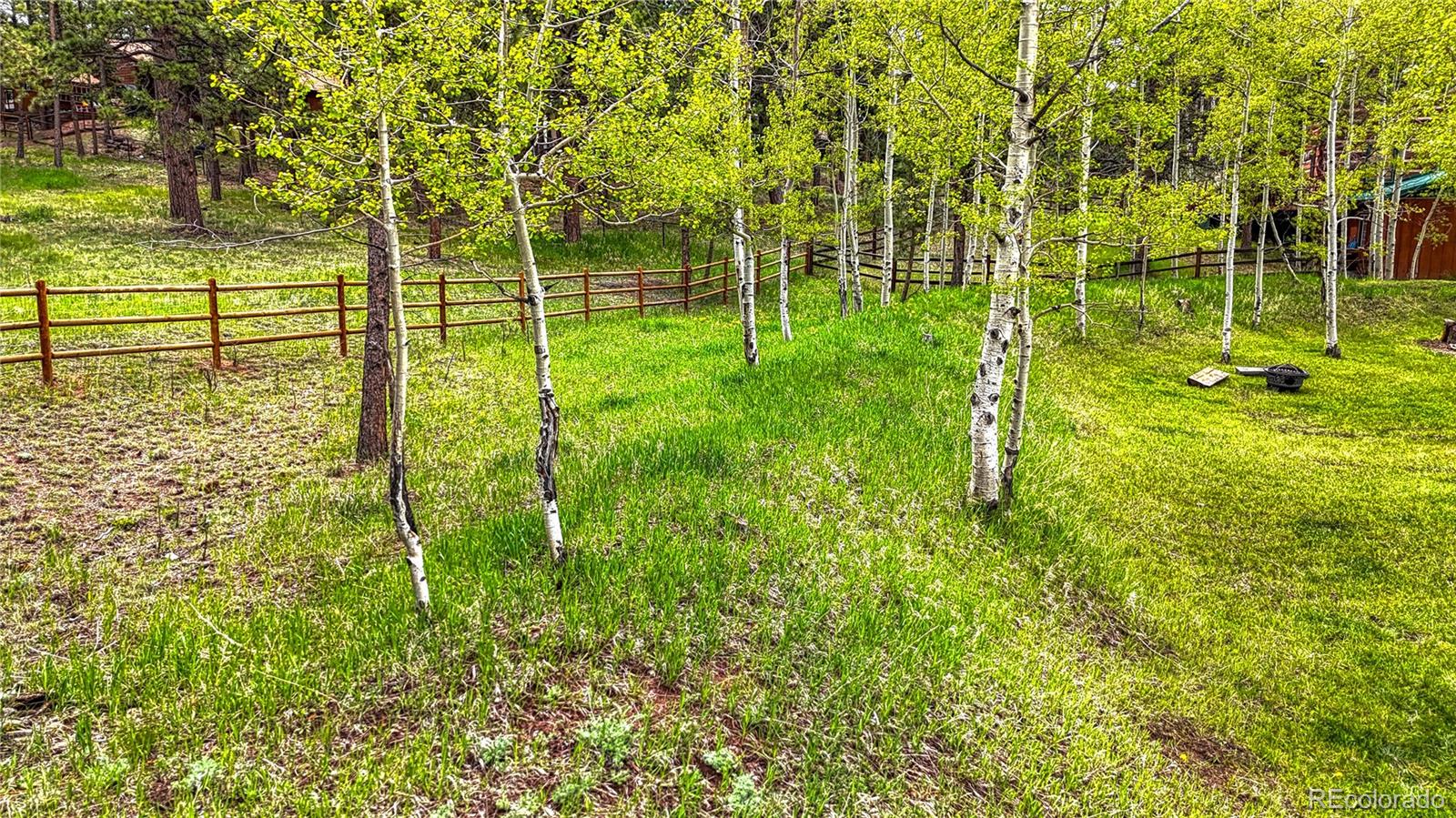 MLS Image #30 for 1451  black foot trail,woodland park, Colorado
