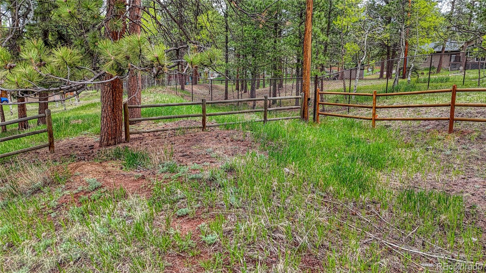MLS Image #32 for 1451  black foot trail,woodland park, Colorado