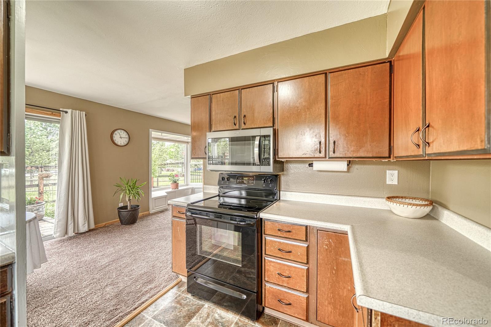 MLS Image #9 for 1451  black foot trail,woodland park, Colorado