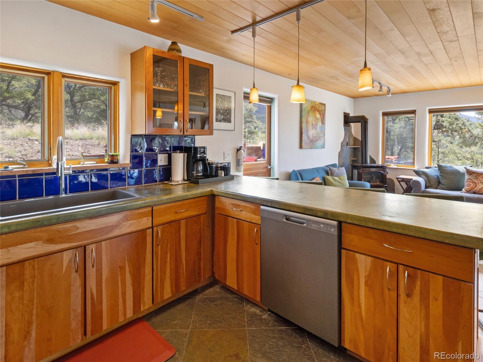MLS Image #14 for 2290  big sands way,crestone, Colorado