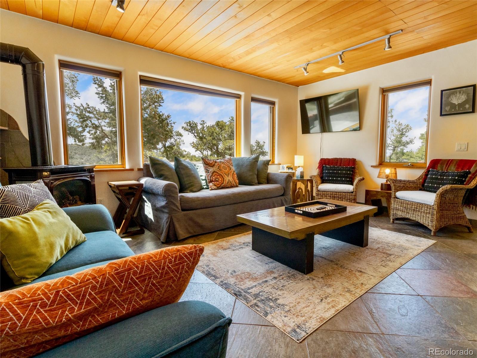 MLS Image #16 for 2290  big sands way,crestone, Colorado