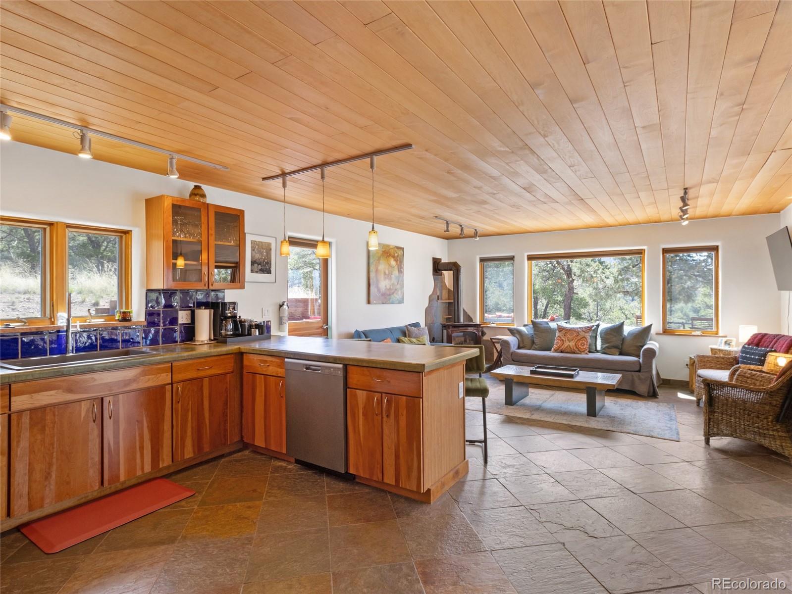 MLS Image #8 for 2290  big sands way,crestone, Colorado