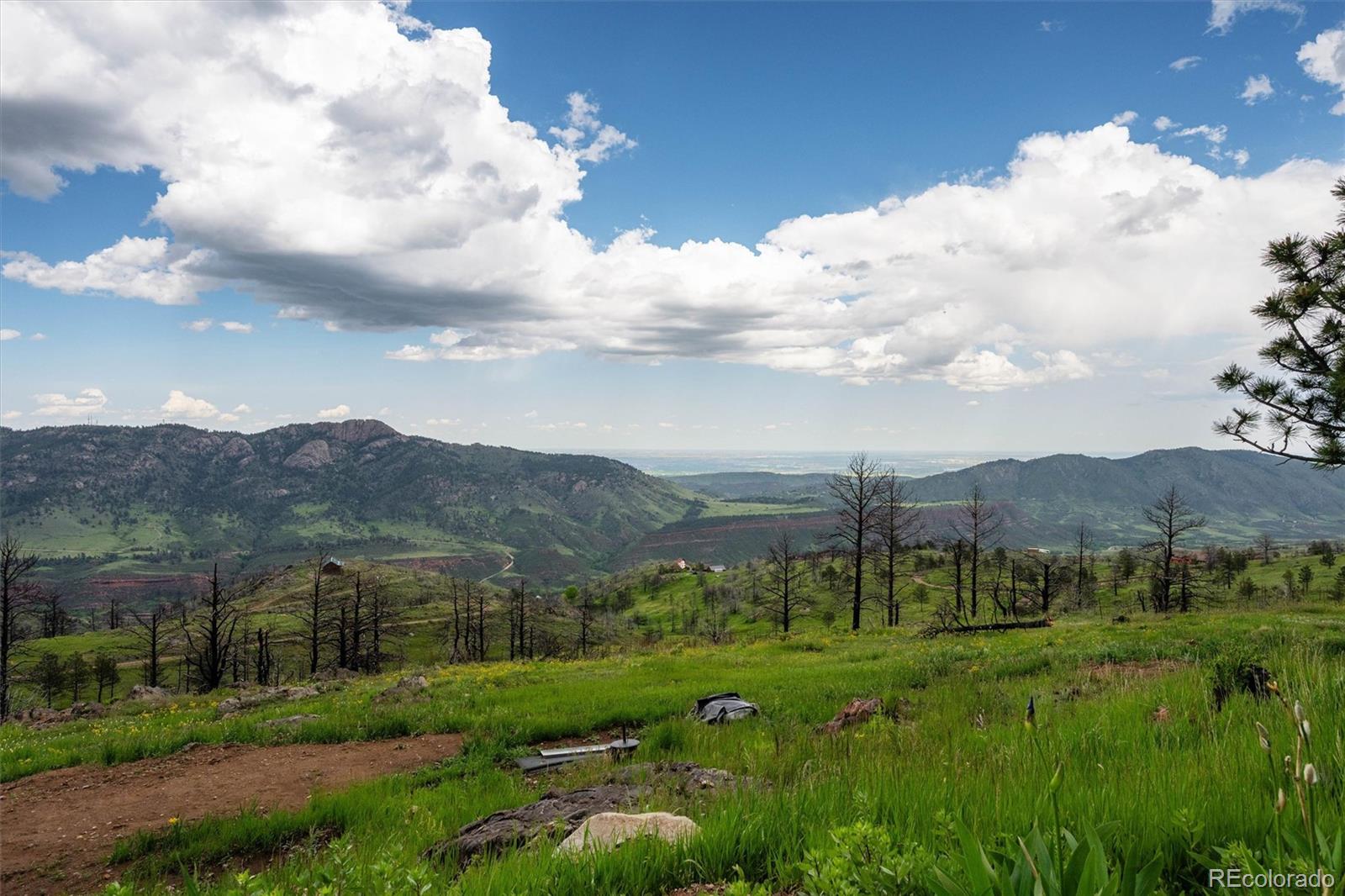 MLS Image #40 for 13328  otter road,loveland, Colorado