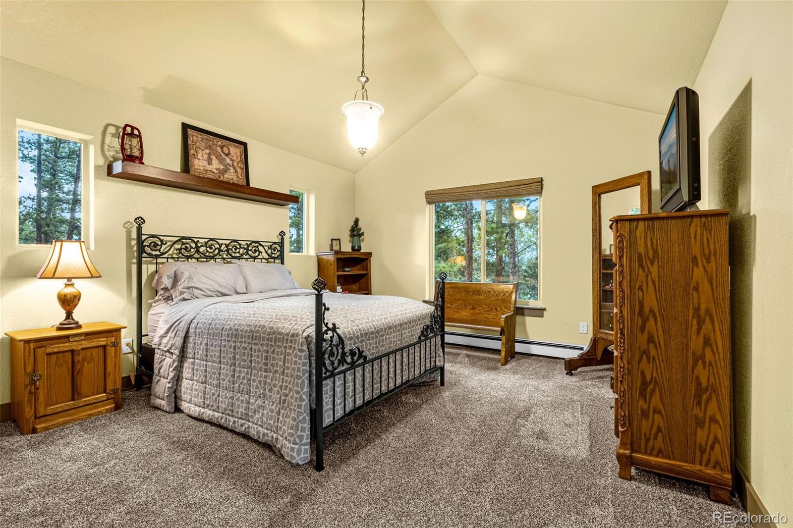 MLS Image #29 for 459  county road 85 ,guffey, Colorado
