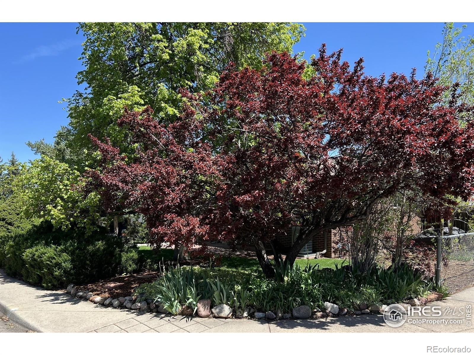 MLS Image #36 for 700  33rd street,boulder, Colorado