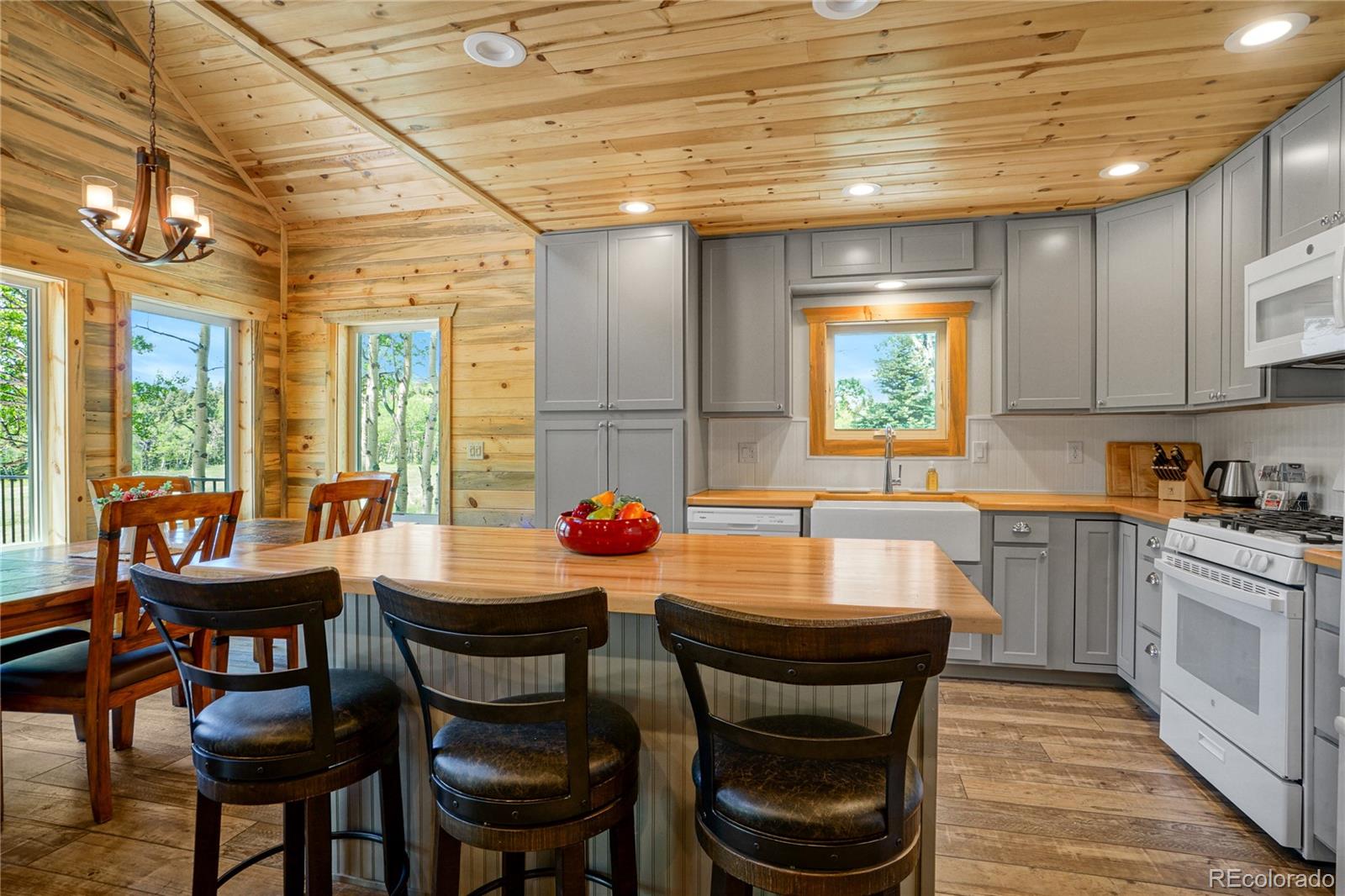 MLS Image #14 for 2474  wendt lane,fort garland, Colorado
