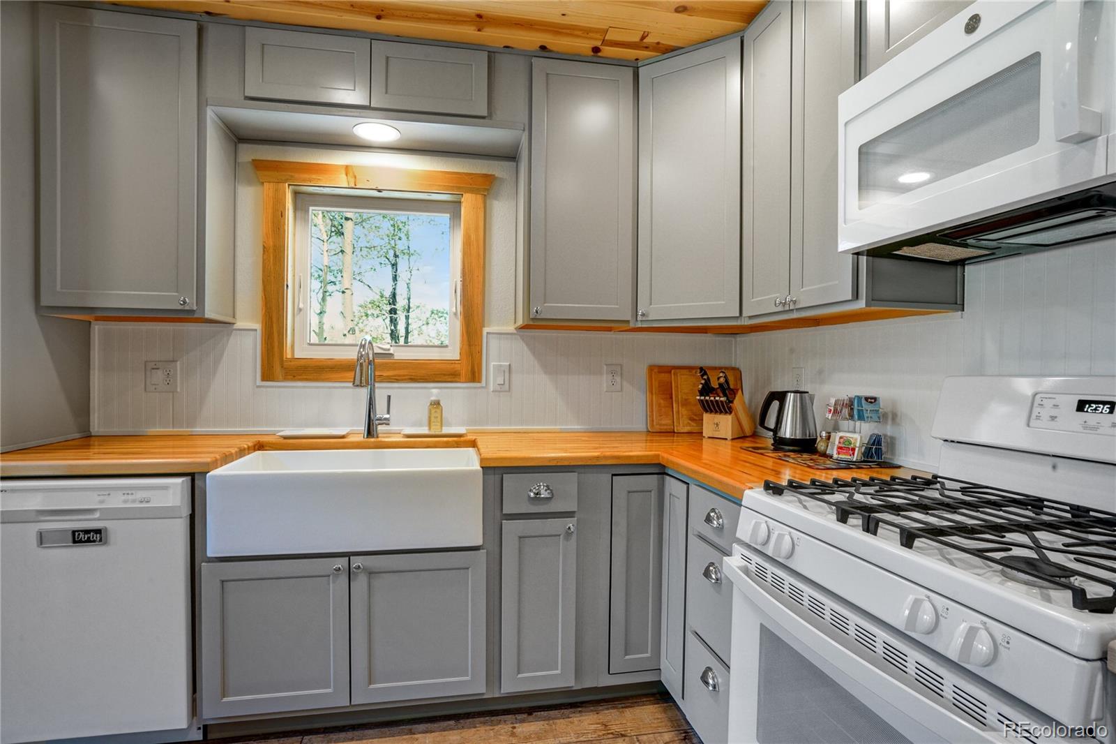 MLS Image #15 for 2474  wendt lane,fort garland, Colorado