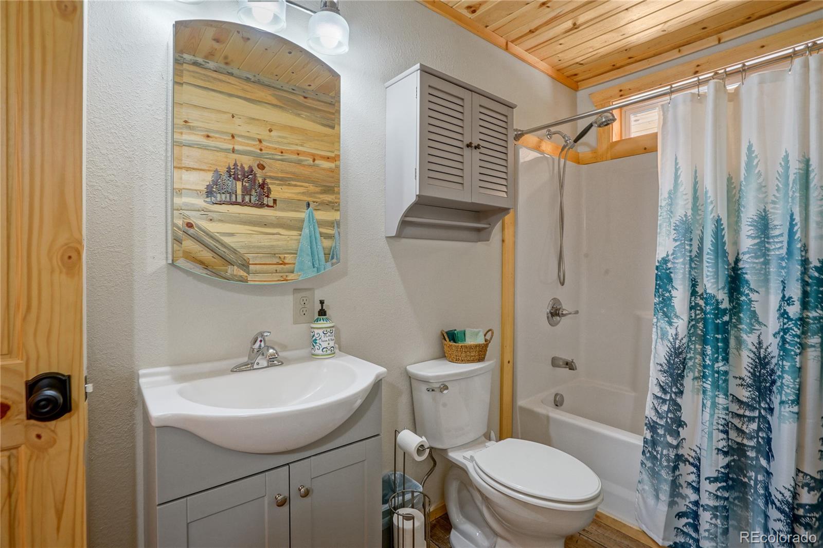MLS Image #28 for 2474  wendt lane,fort garland, Colorado