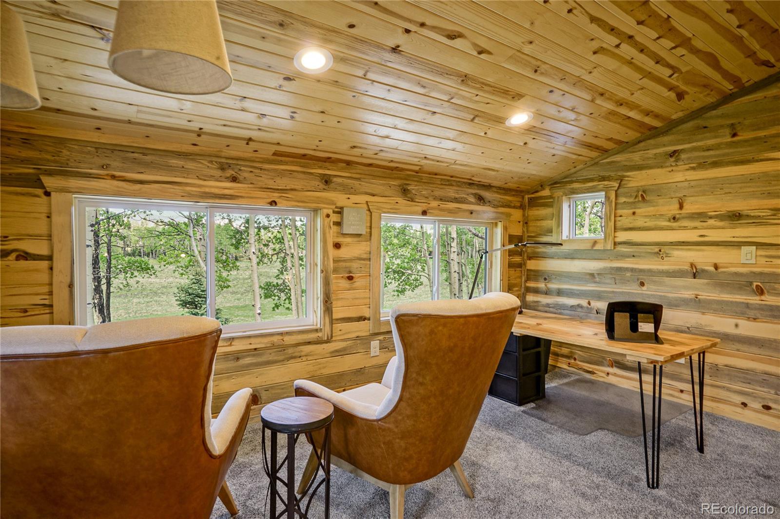 MLS Image #31 for 2474  wendt lane,fort garland, Colorado