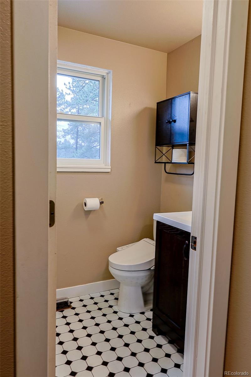 MLS Image #11 for 5237 s olive road,evergreen, Colorado